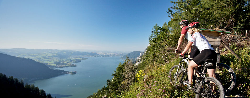 Blick auf den Traunsee, (c)Traunsee