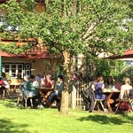 Dining in our orchard