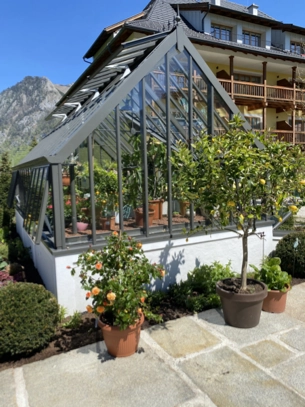 Gewächshaus im Garten